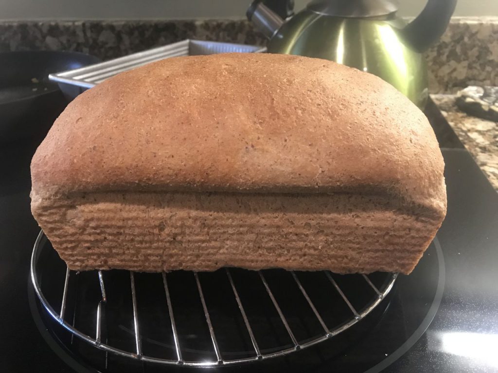 Baked whole wheat bread loaf
