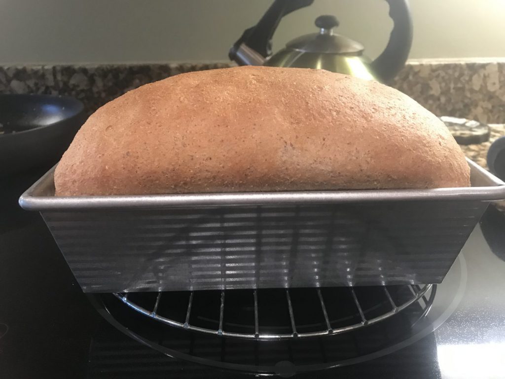 Baked whole wheat bread loaf in bread pan