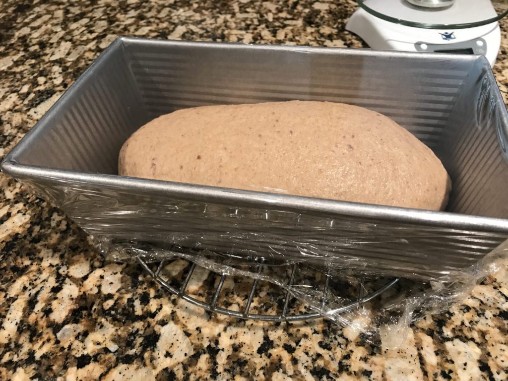 Cover bread dough with Plastic Wrap