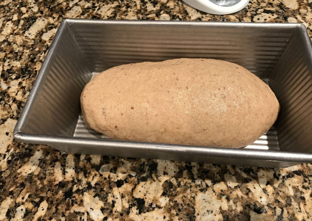Formed whole wheat bread loaf in bread pan