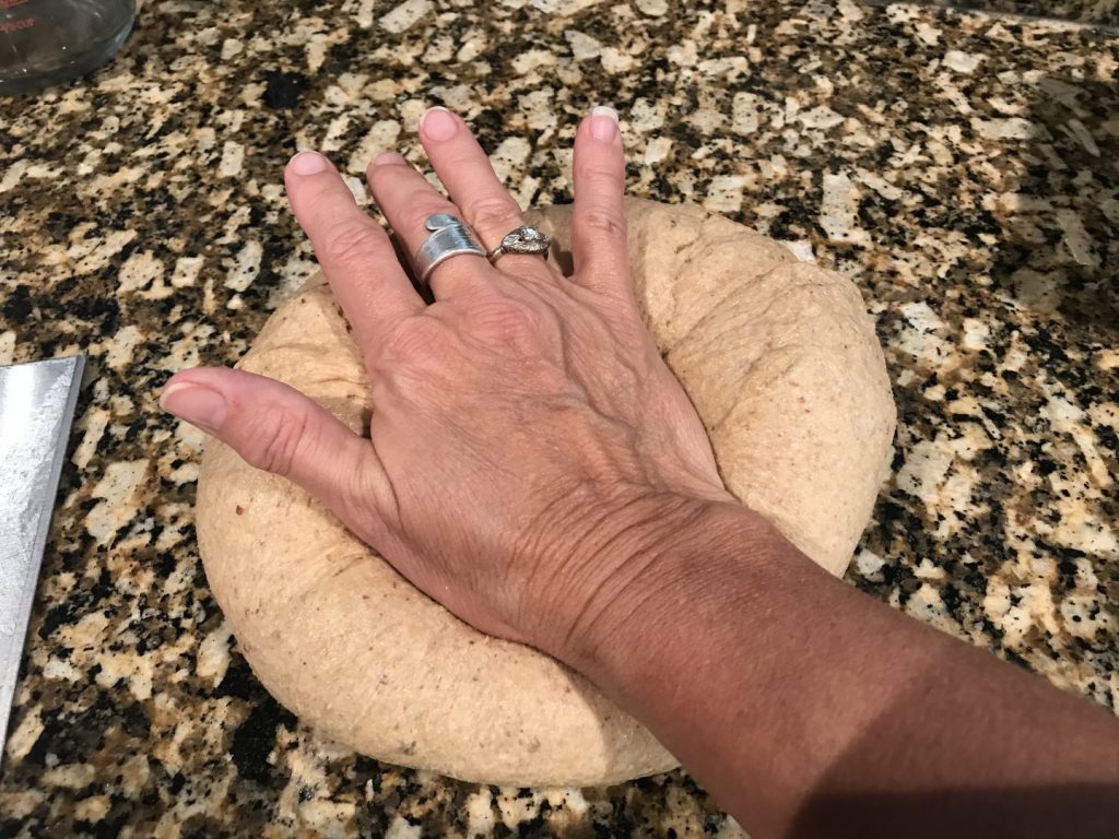 Hand whole wheat bread dough