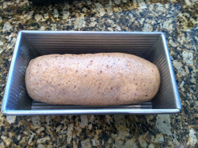 Loaf Bread Dough in Pan
