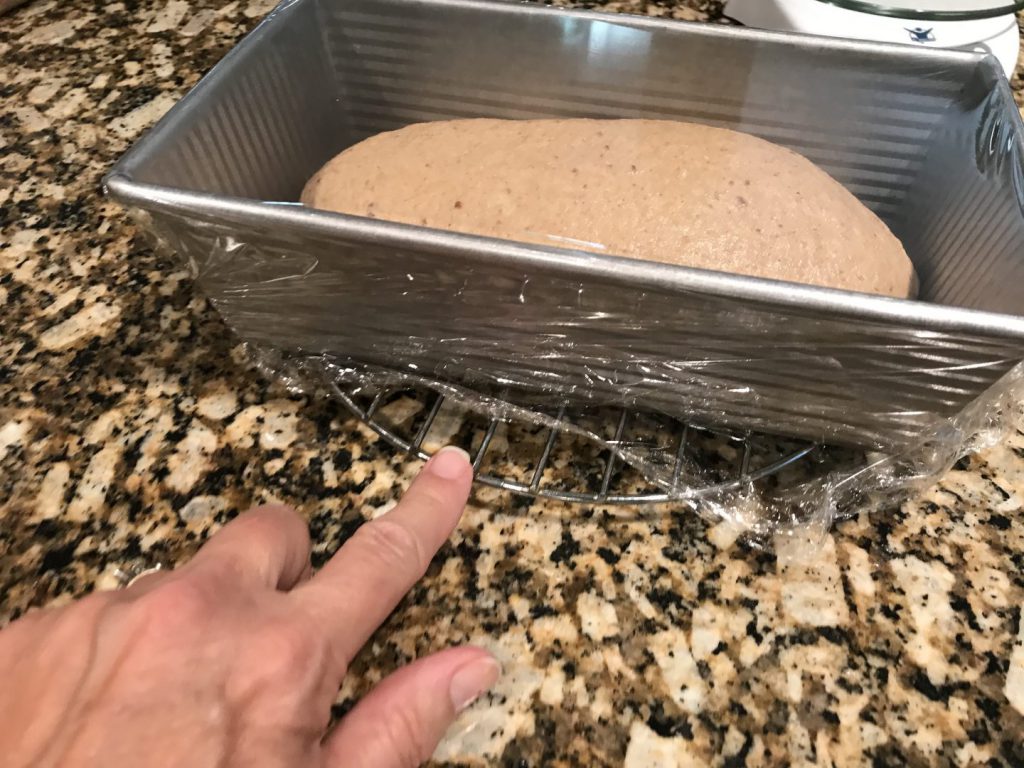 Rise Dough on a rack to elevate off counter