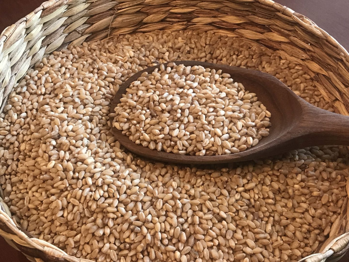 Hard White Wheat in Basket
