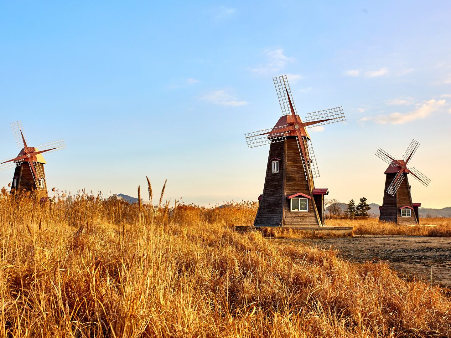 Wheat and Windmills